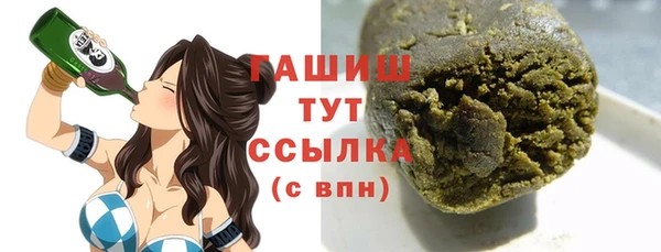 эйфоретик Няндома