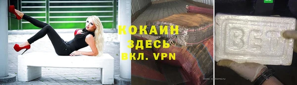 эйфоретик Няндома