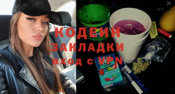 эйфоретик Няндома
