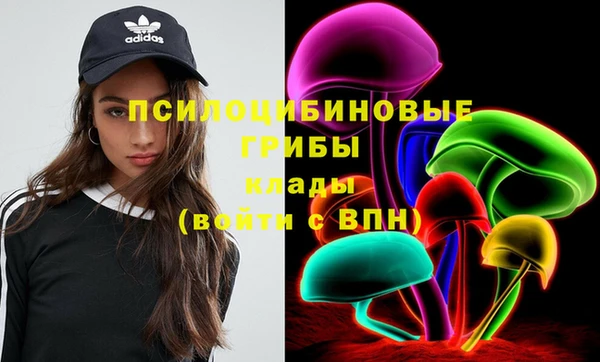 гидра Нязепетровск