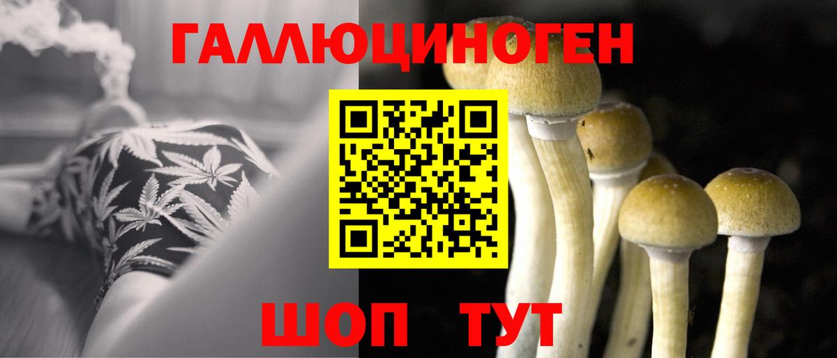 Псилоцибиновые грибы мухоморы  Псилоцибиновые грибы мицелий  Абакан  Вход с VPN 